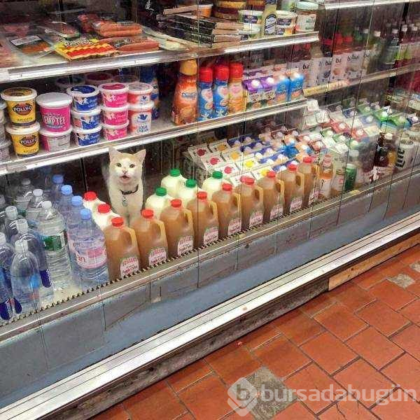 Günün en çok paylaşılan fotoğrafları