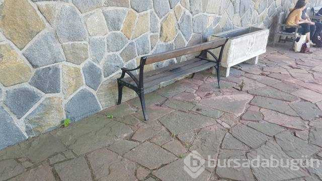 Günün en çok paylaşılan fotoğrafları