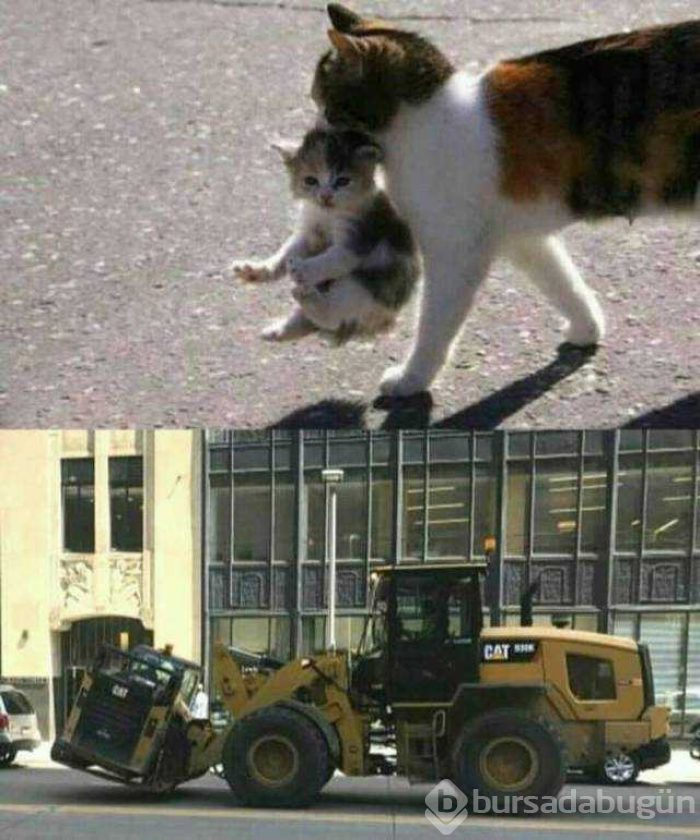 Günün en çok paylaşılan fotoğrafları