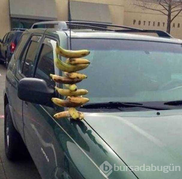 Günün en çok paylaşılan fotoğrafları
