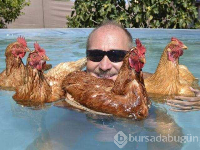 Günün en çok paylaşılan fotoğrafları