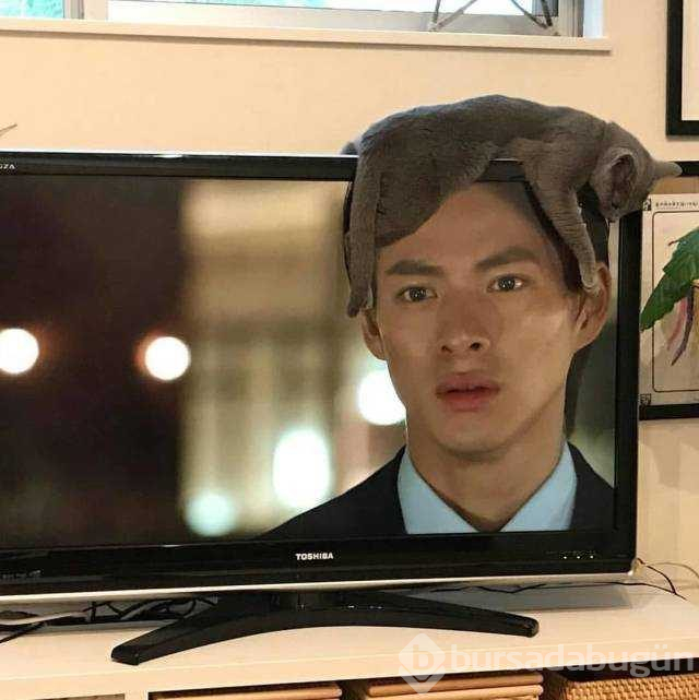 Günün en çok paylaşılan fotoğrafları