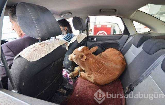 Günün en çok paylaşılan fotoğrafları