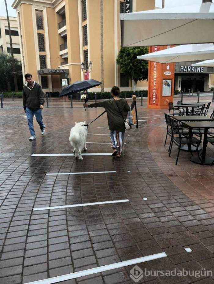 Günün en çok paylaşılan fotoğrafları
