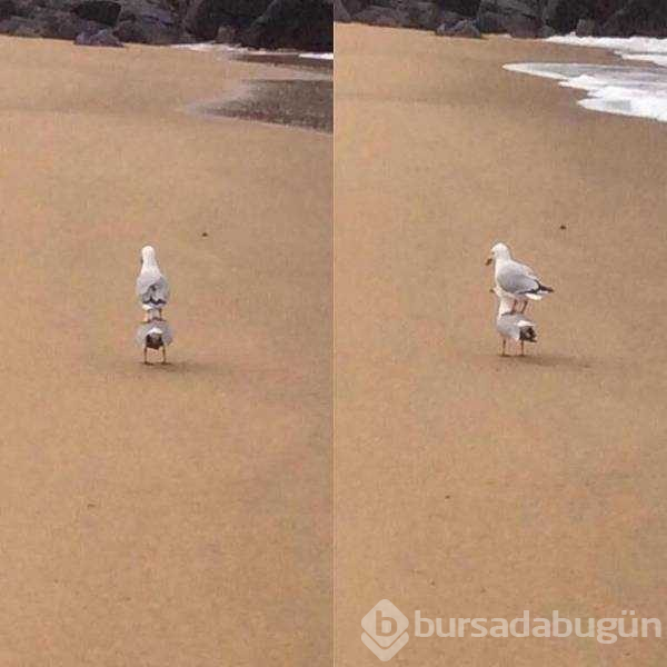 Günün en çok paylaşılan fotoğrafları
