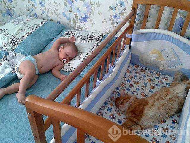 Günün en çok paylaşılan fotoğrafları
