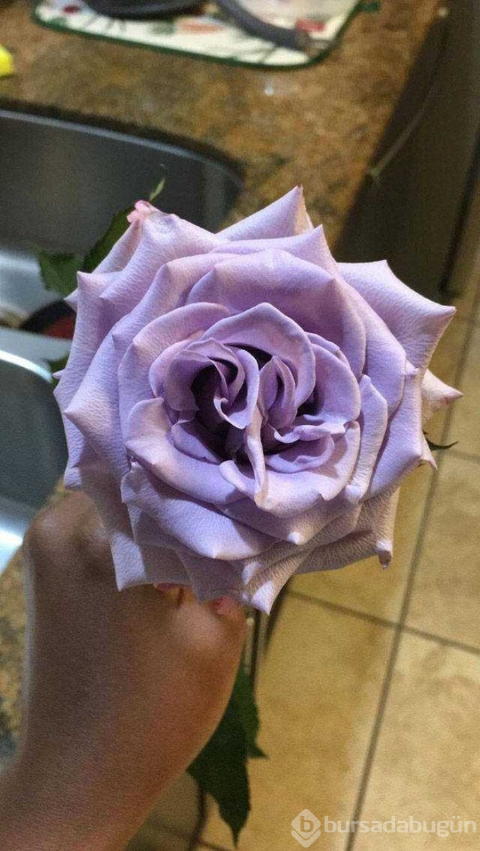 Günün en çok paylaşılan fotoğrafları
