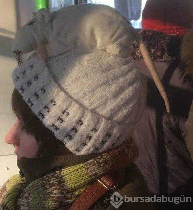Günün en çok paylaşılan fotoğrafları
