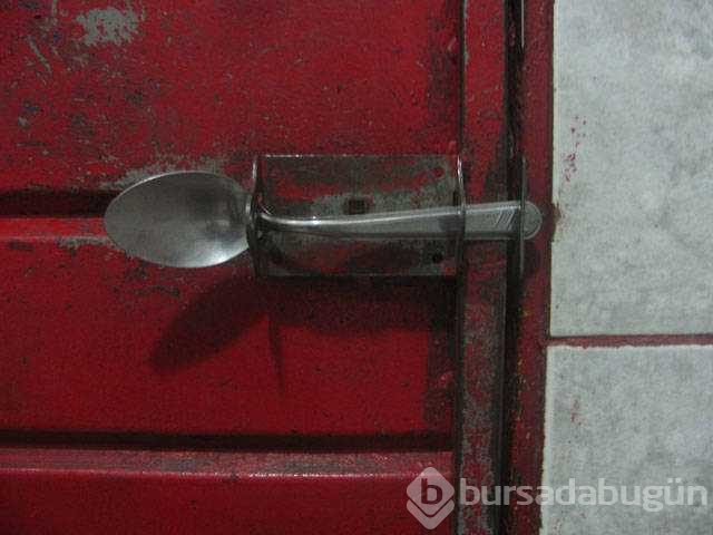 Günün en çok paylaşılan fotoğrafları
