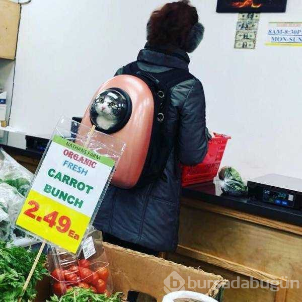 Günün en çok paylaşılan fotoğrafları
