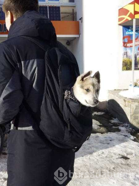 Günün en çok paylaşılan fotoğrafları
