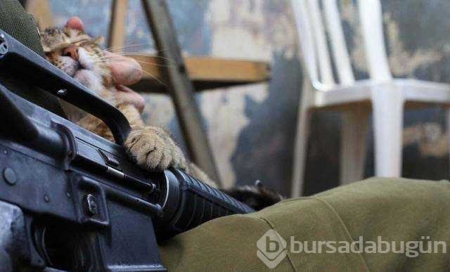 Günün en çok paylaşılan fotoğrafları
