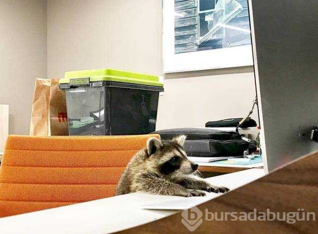 İşte günün en çok paylaşılan fotoğrafları
