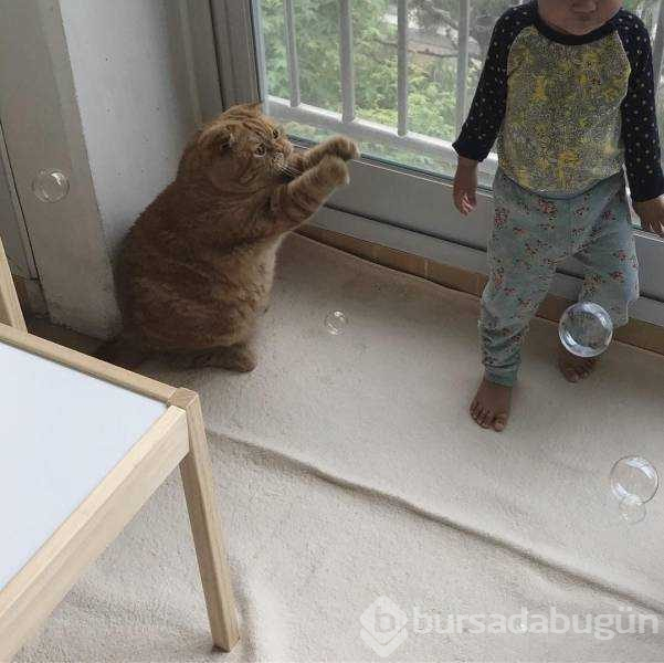 İşte günün en çok paylaşılan fotoğrafları
