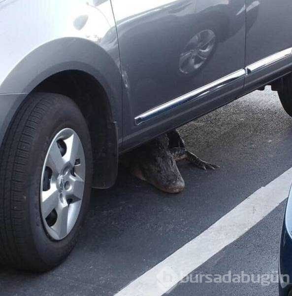İşte günün en çok paylaşılan fotoğrafları
