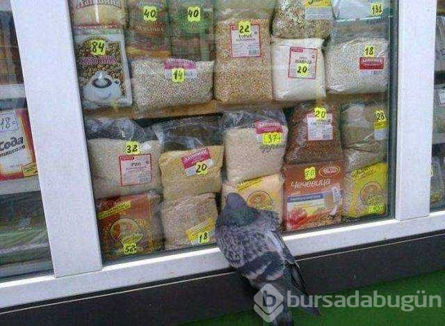 İşte günün en çok paylaşılan fotoğrafları
