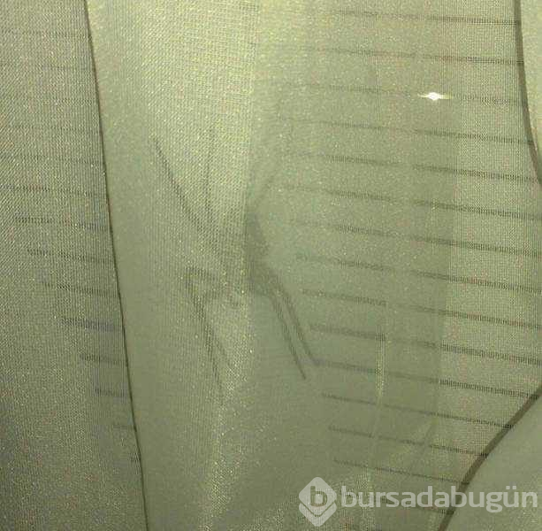 İşte günün en çok paylaşılan fotoğrafları
