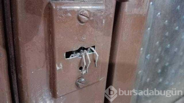 İşte günün en çok paylaşılan fotoğrafları
