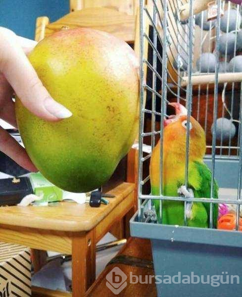İşte günün en çok paylaşılan fotoğrafları
