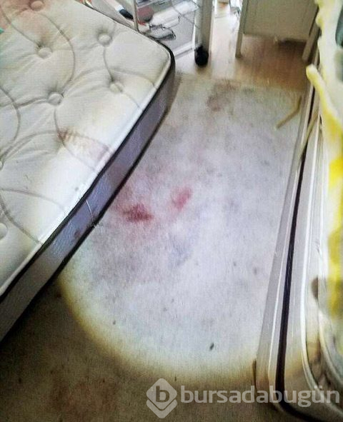 Sevgilisinin kafasını yüzüp kulağını kesen ünlü yazar suçlu bulundu!
