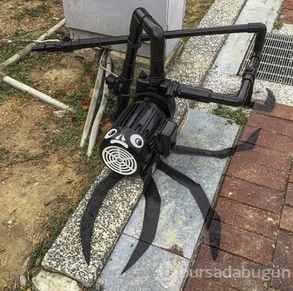 Sokak sanatçısının yaptığı çalışmalara inanamayacaksınız...