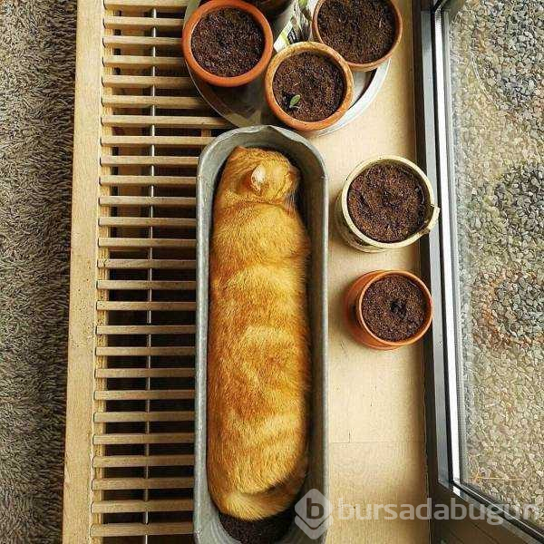 İşte günün en çok paylaşılan fotoğrafları
