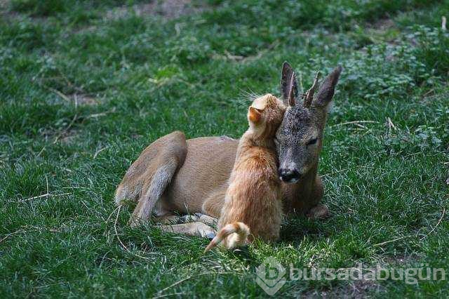 İşte günün en çok paylaşılan fotoğrafları
