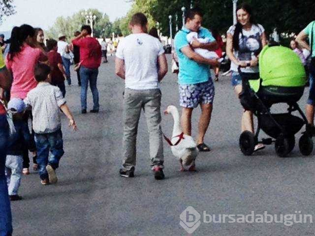 İşte günün en çok paylaşılan fotoğrafları

