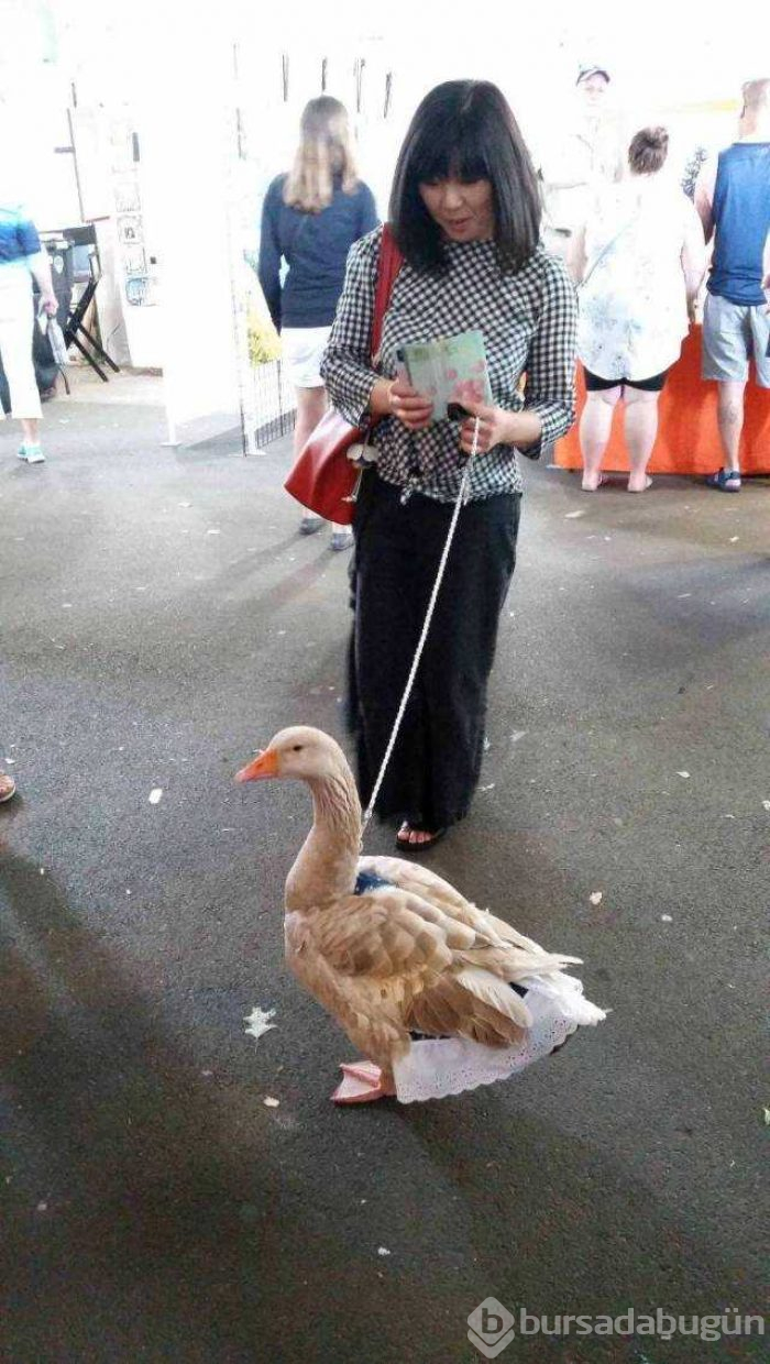 İşte günün en çok paylaşılan fotoğrafları
