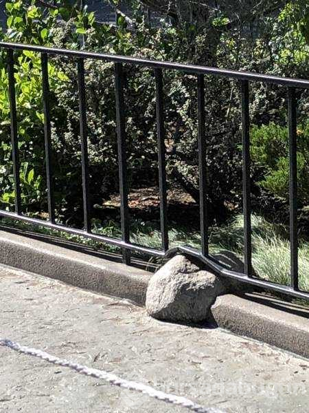 İşte günün en çok paylaşılan fotoğrafları
