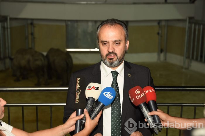 Bursa Hayvanat Bahçesi'nin yeni misafirleri görücüye çıktı