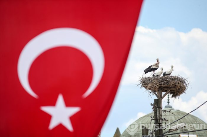 Bursa'da "14. Uluslararası Leylek Festivali" başladı
