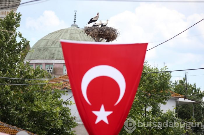 Bursa'da "14. Uluslararası Leylek Festivali" başladı
