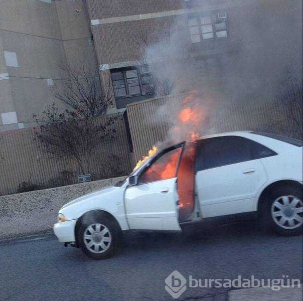 İşte günün en çok paylaşılan fotoğrafları
