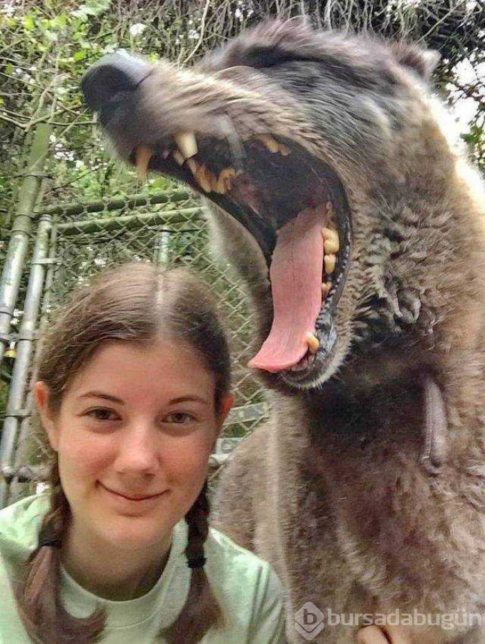 İşte günün en çok paylaşılan fotoğrafları
