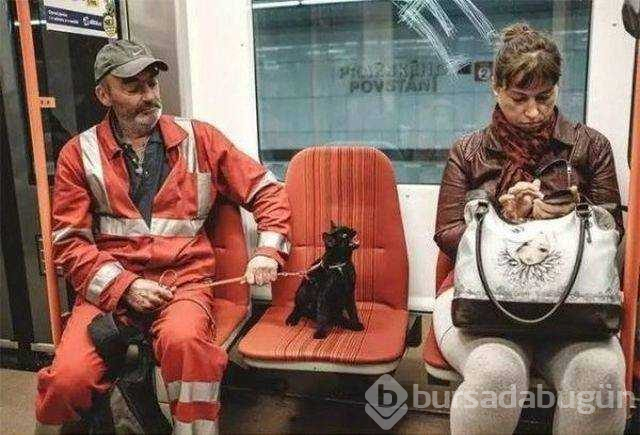 İşte günün en çok paylaşılan fotoğrafları
