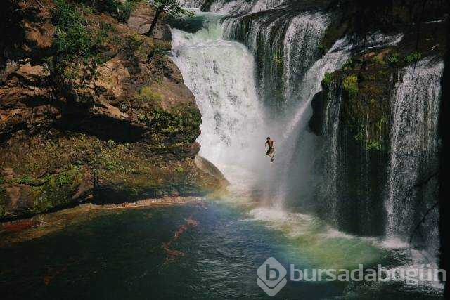 İşte günün en çok paylaşılan fotoğrafları
