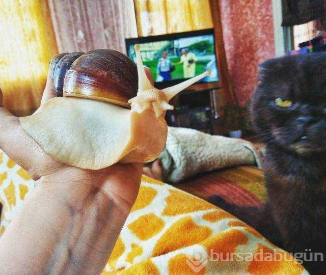 İşte günün en çok paylaşılan fotoğrafları
