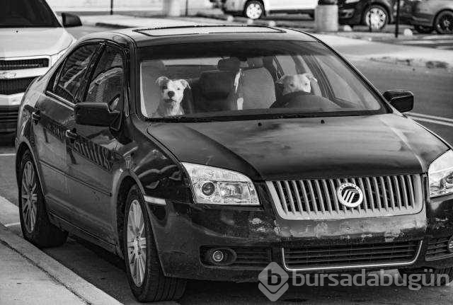 İşte günün en çok paylaşılan fotoğrafları
