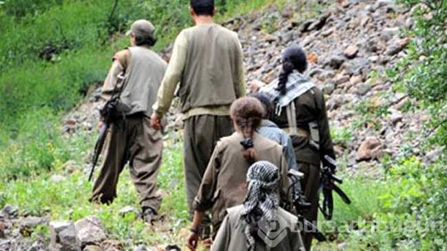 Terör örgütü PKK, köşeye sıkıştı