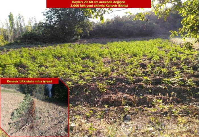 Diyarbakır'da terör örgütü PKK'ya yönelik düzenlenen operasyonda çok sayıda mühimmat ele geçirildi