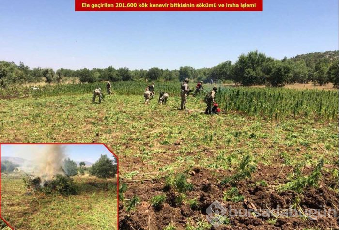 Diyarbakır'da terör örgütü PKK'ya yönelik düzenlenen operasyonda çok sayıda mühimmat ele geçirildi