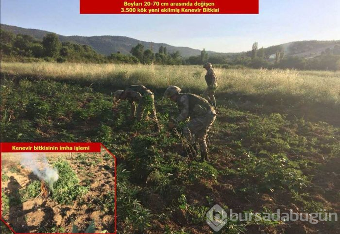 Diyarbakır'da terör örgütü PKK'ya yönelik düzenlenen operasyonda çok sayıda mühimmat ele geçirildi