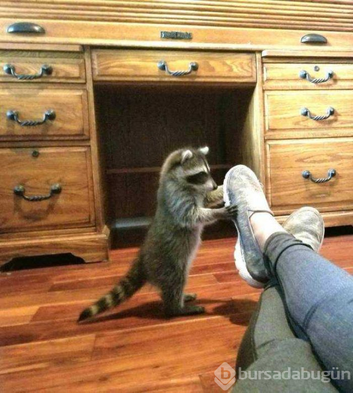 Günün en çok paylaşılan fotoğrafları