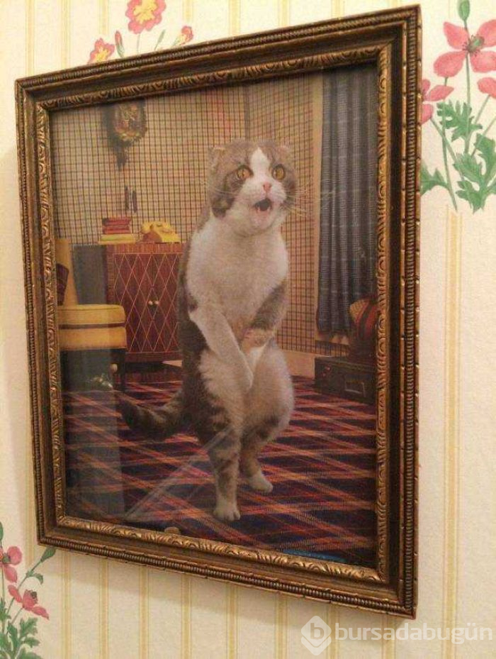 Günün en çok paylaşılan fotoğrafları