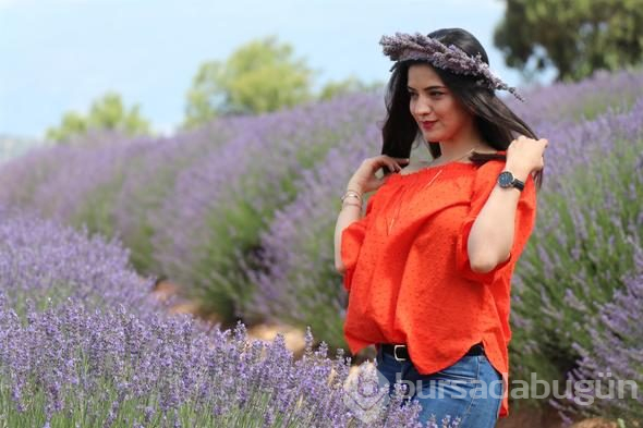 Türkiye'nin yeni gözdesi lavanta ve Salda
