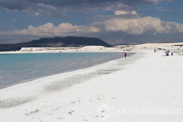 Türkiye'nin yeni gözdesi lavanta ve Salda
