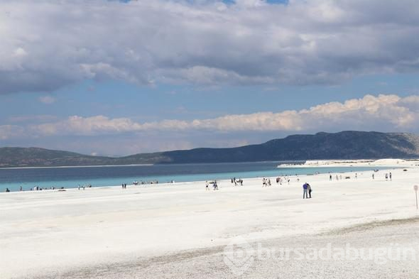 Türkiye'nin yeni gözdesi lavanta ve Salda
