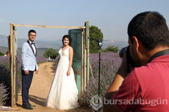 Türkiye'nin yeni gözdesi lavanta ve Salda
