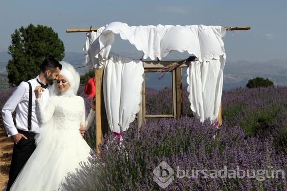 Türkiye'nin yeni gözdesi lavanta ve Salda
